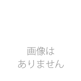 P-300 レバーR,L